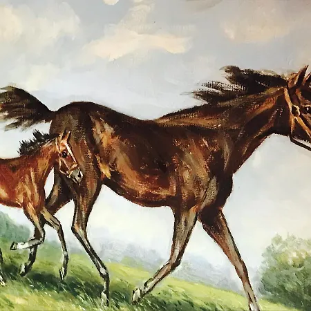 De L'assesseur - Mont-soleil *