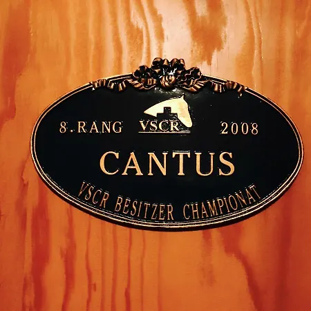 De L'assesseur - Mont-soleil *