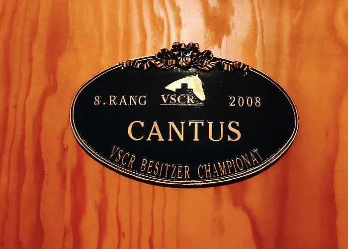 De L'assesseur - Mont-soleil *