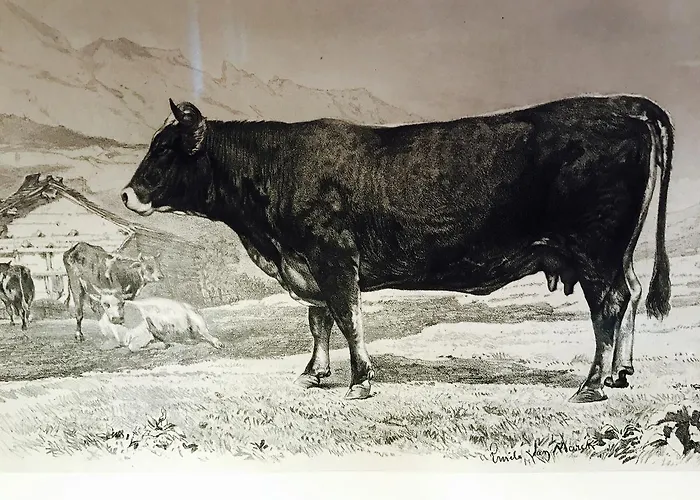 De L'assesseur - Mont-soleil Saint-Imier