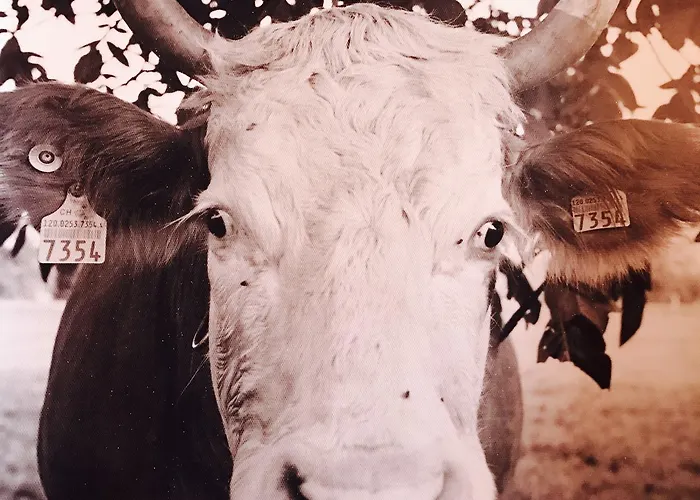 De L'assesseur - Mont-soleil Hotel Saint-Imier