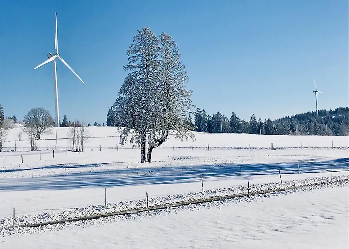 Hotel De L'assesseur - Mont-soleil Saint-Imier
