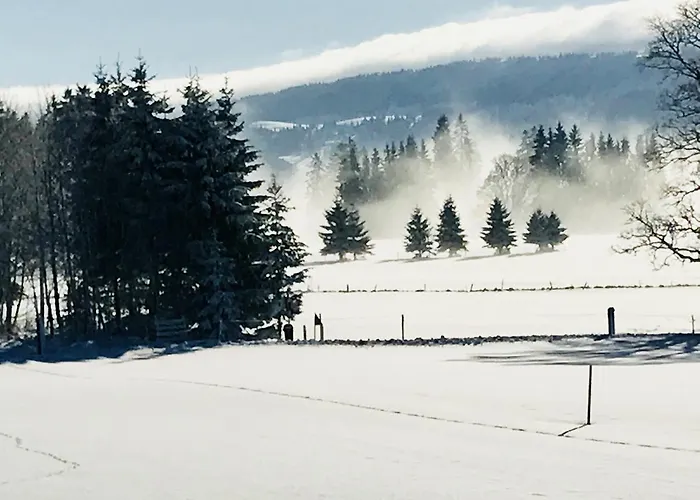 De L'assesseur - Mont-soleil Hotel