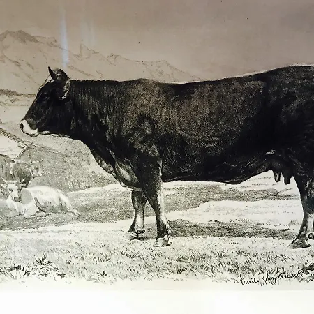 De L'assesseur - Mont-soleil Saint-Imier